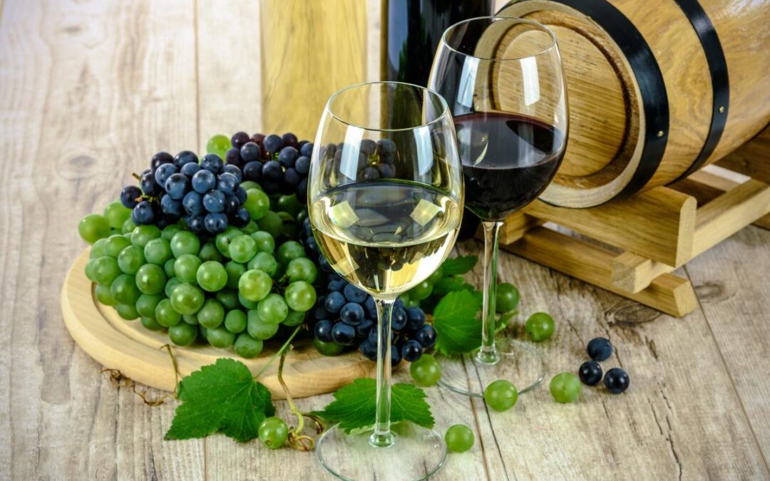 Umbria – pieniä viinitarhoja ja suuria viinejä